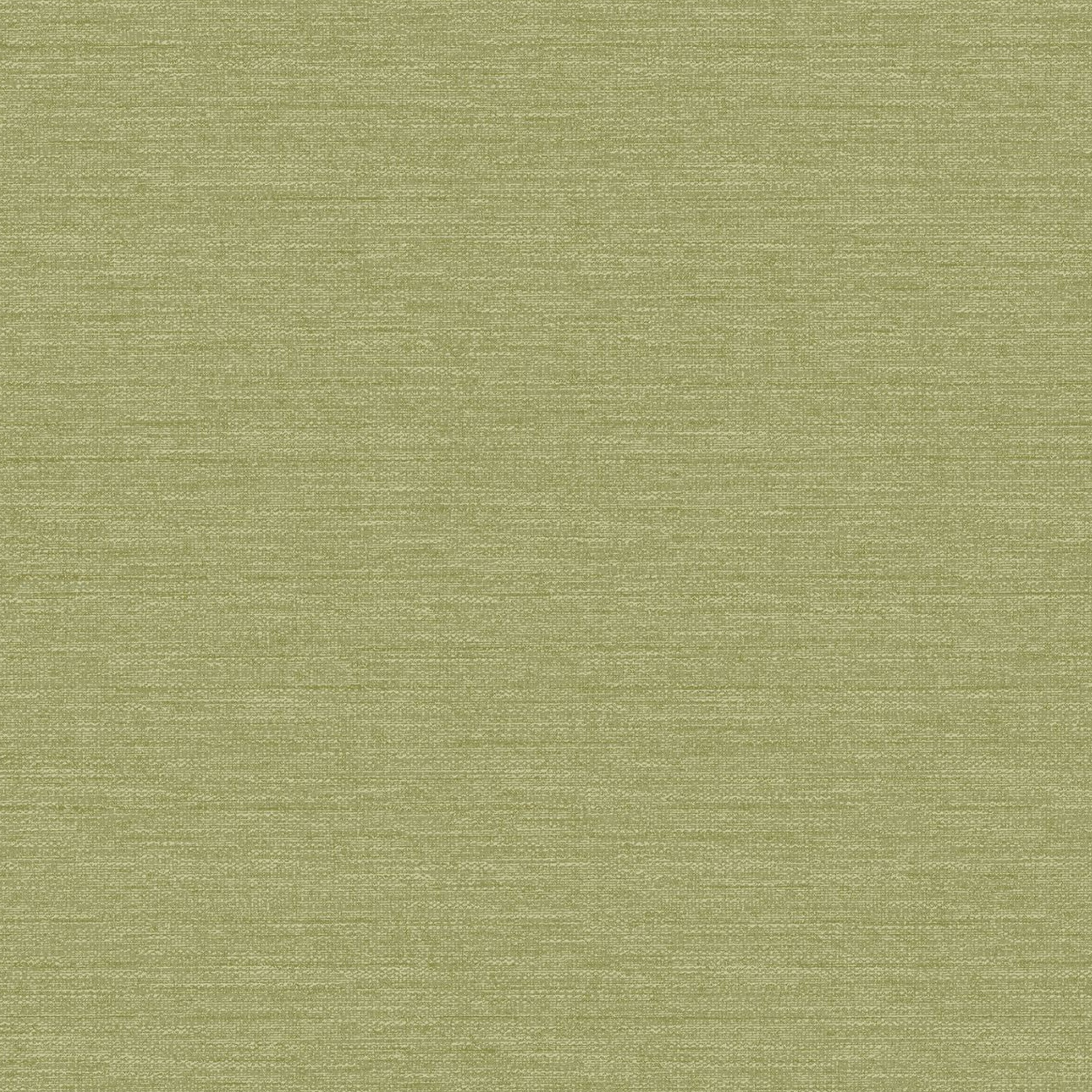 Green Olive Plain Textured Wallpaper
